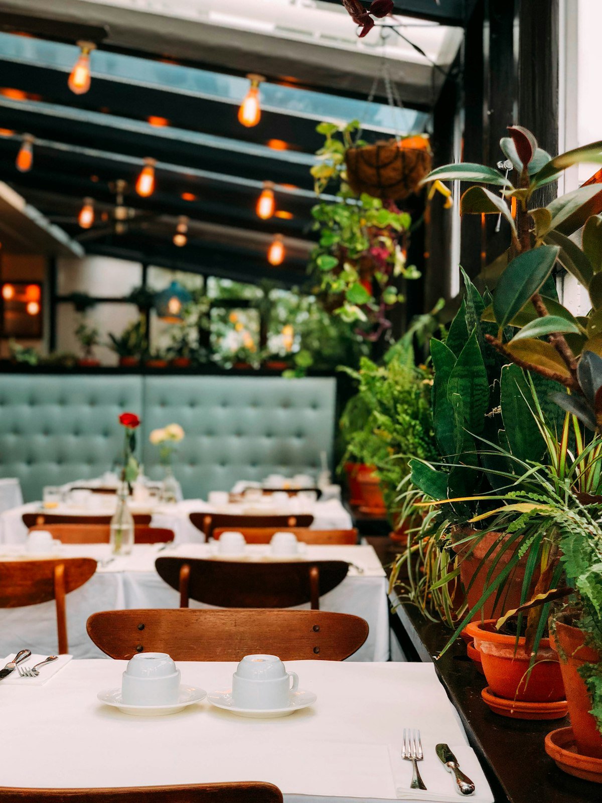 Japanese Omakase - Los Angeles restaurant visual